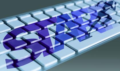 Sole-owned Variable Capital Company - what is that?